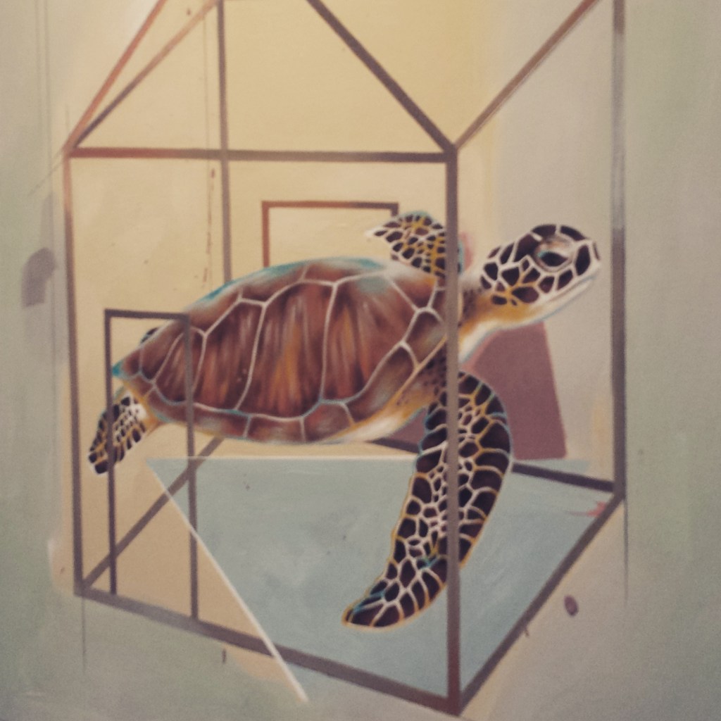 Domesticated: Turtle  "Sure and Steady" Janet Balbarona