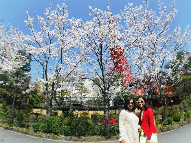 2015_0331_10131900_1