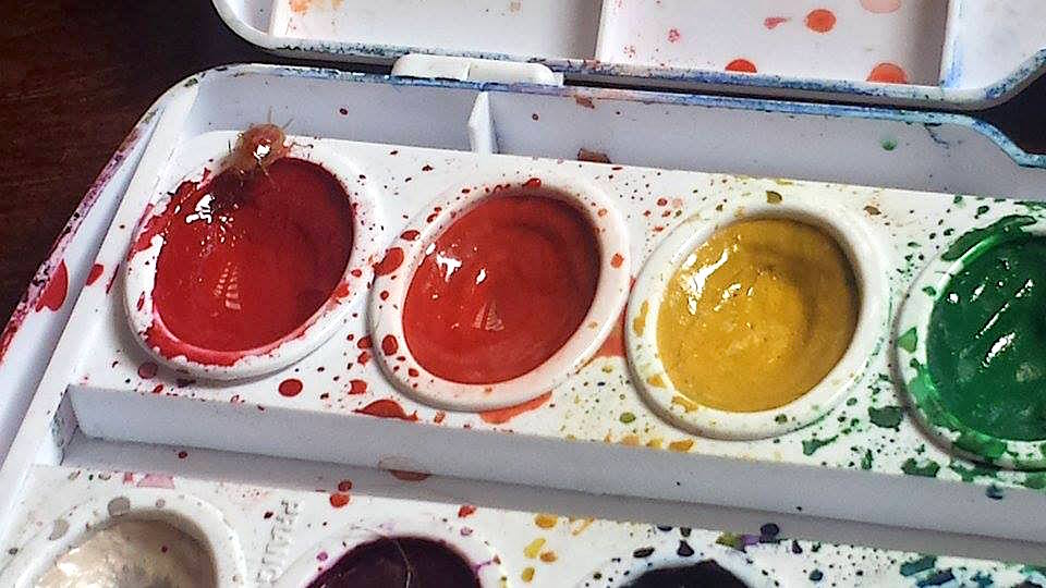 11912904_10204681711944700_129167598_n