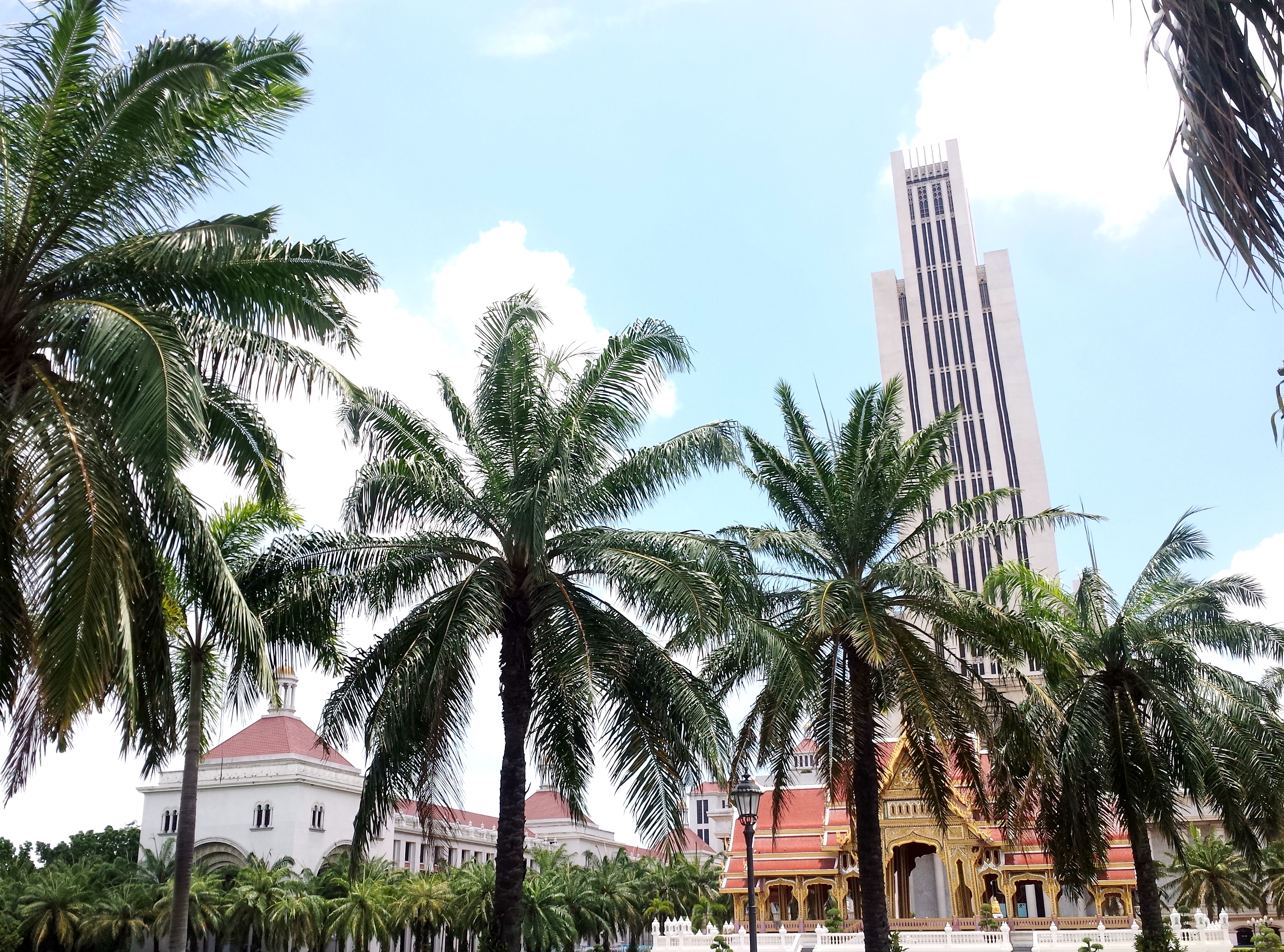 20160531_123310_fotor