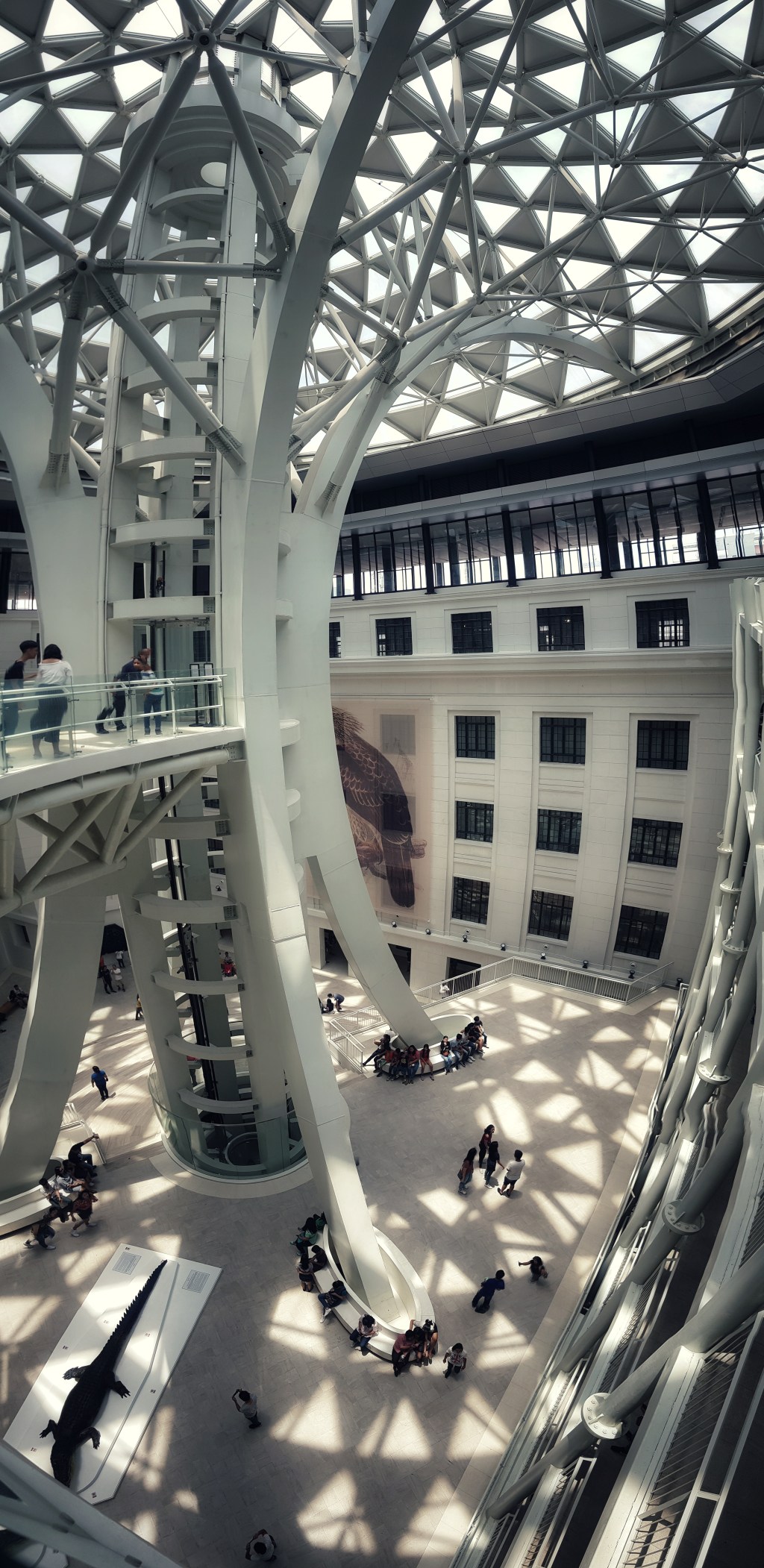 National Museum of Natural History (manila adventures pt&nbsp;3)